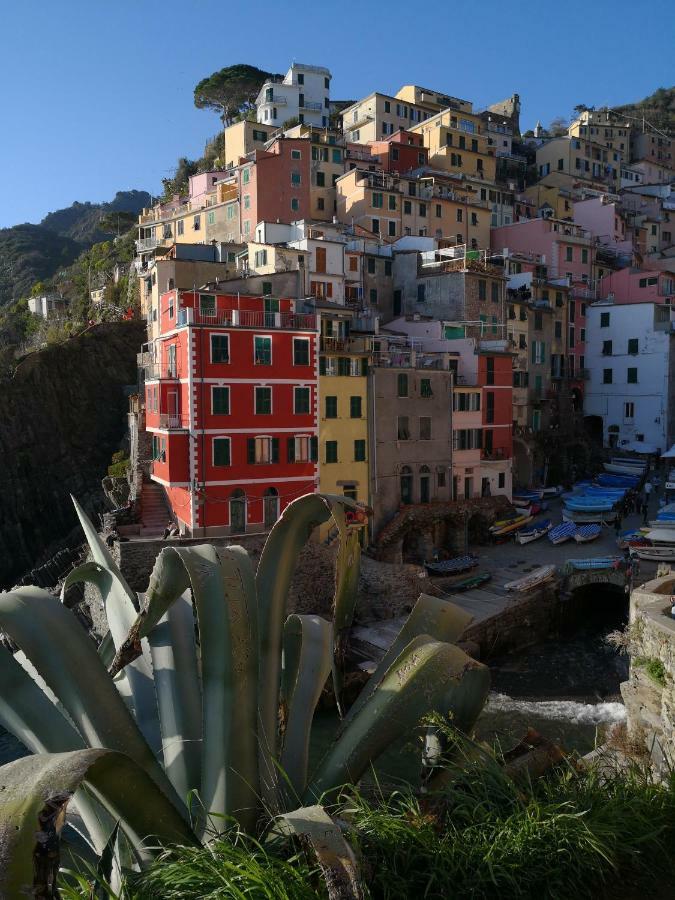 Il Giardino Di Riomaggiore Suite Exteriör bild